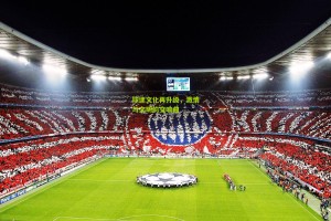 星空体育app|球迷文化再升级，激情与文明的交响曲