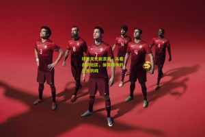 星空体育下载_球迷文化新浪潮，从看台到社区，体育精神的全民共鸣