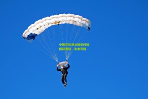 星空体育app-中国花样滑冰新星闪耀国际赛场，未来可期