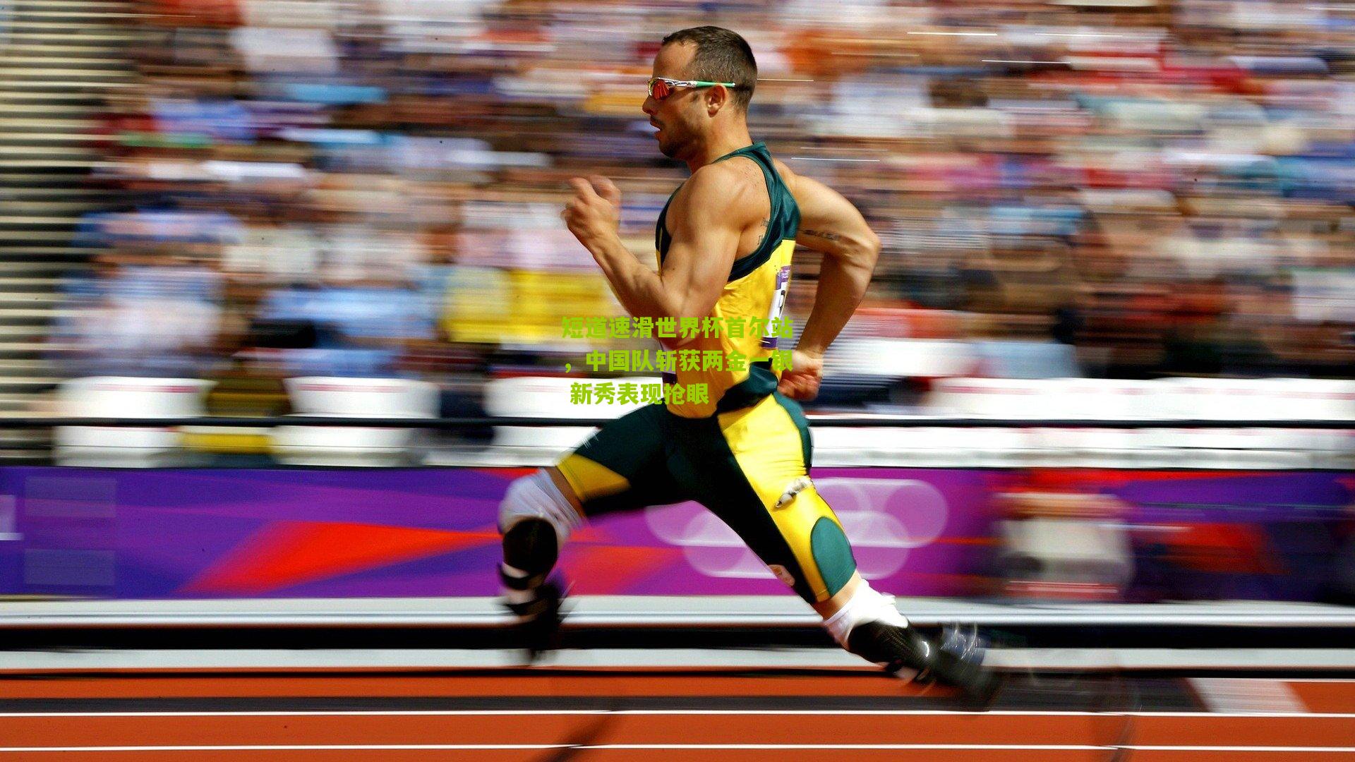 短道速滑世界杯首尔站，中国队斩获两金一银 新秀表现抢眼