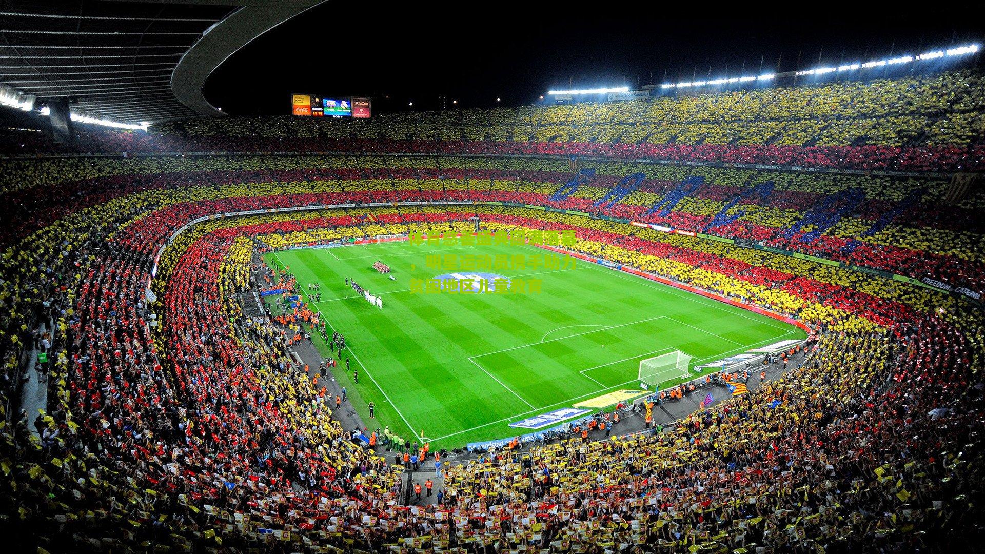 体育慈善盛典圆满落幕,明星运动员携手助力贫困地区儿童教育