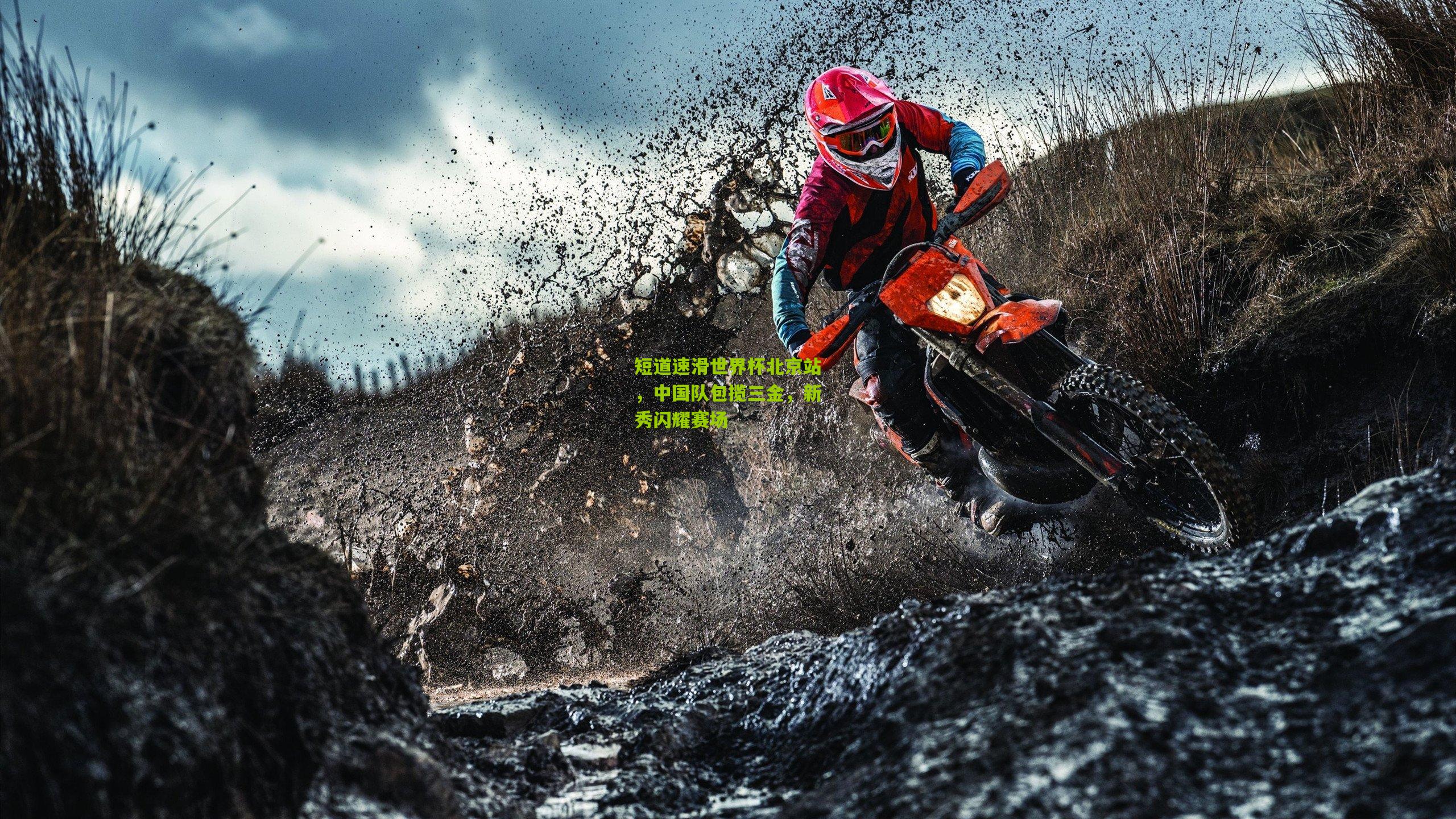 短道速滑世界杯北京站,中国队包揽三金,新秀闪耀赛场