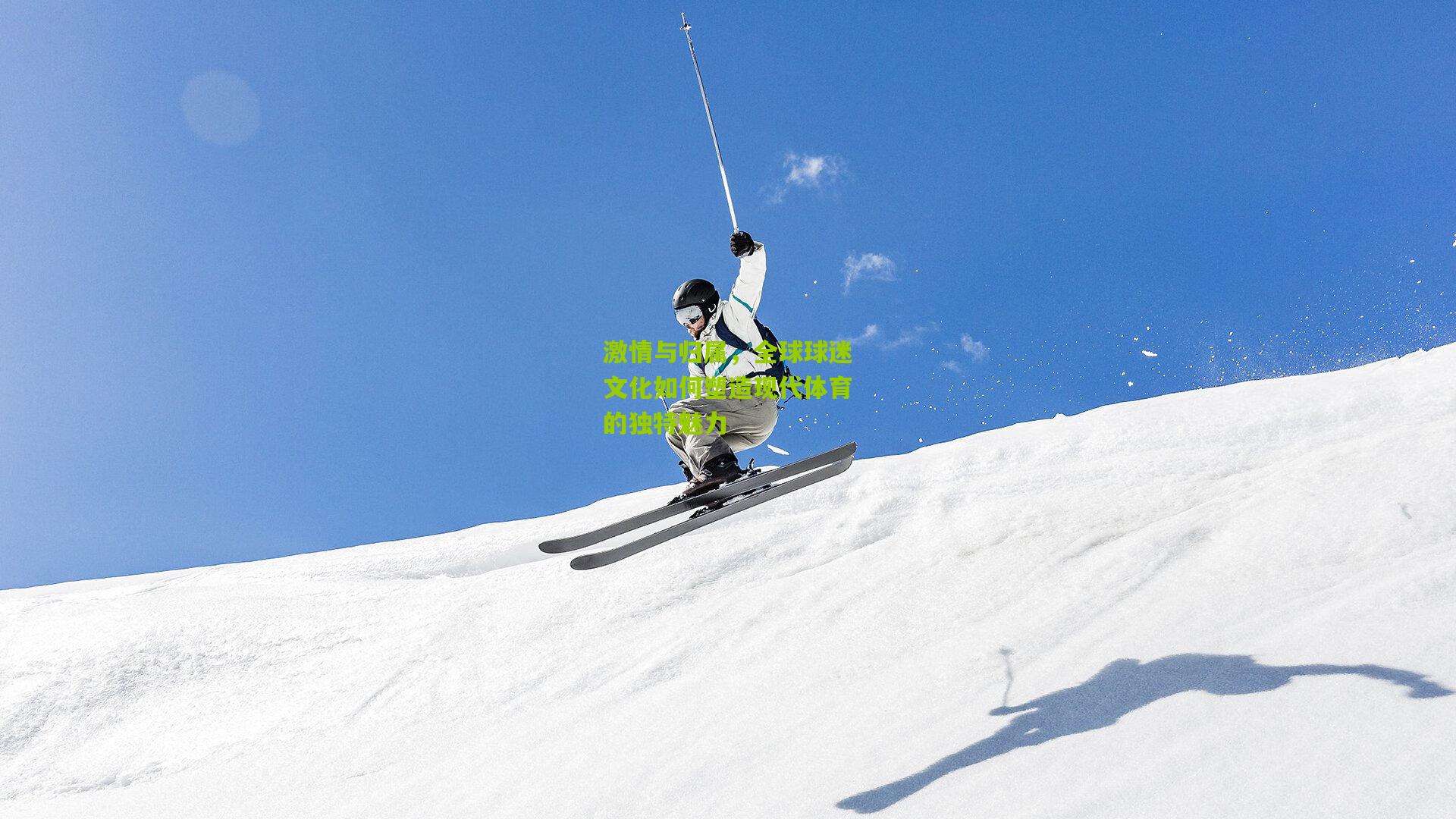 激情与归属,全球球迷文化如何塑造现代体育的独特魅力