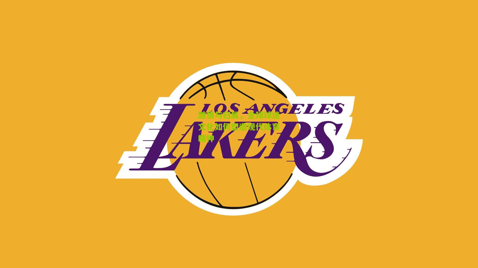 激情与归属,全球球迷文化如何塑造现代体育精神