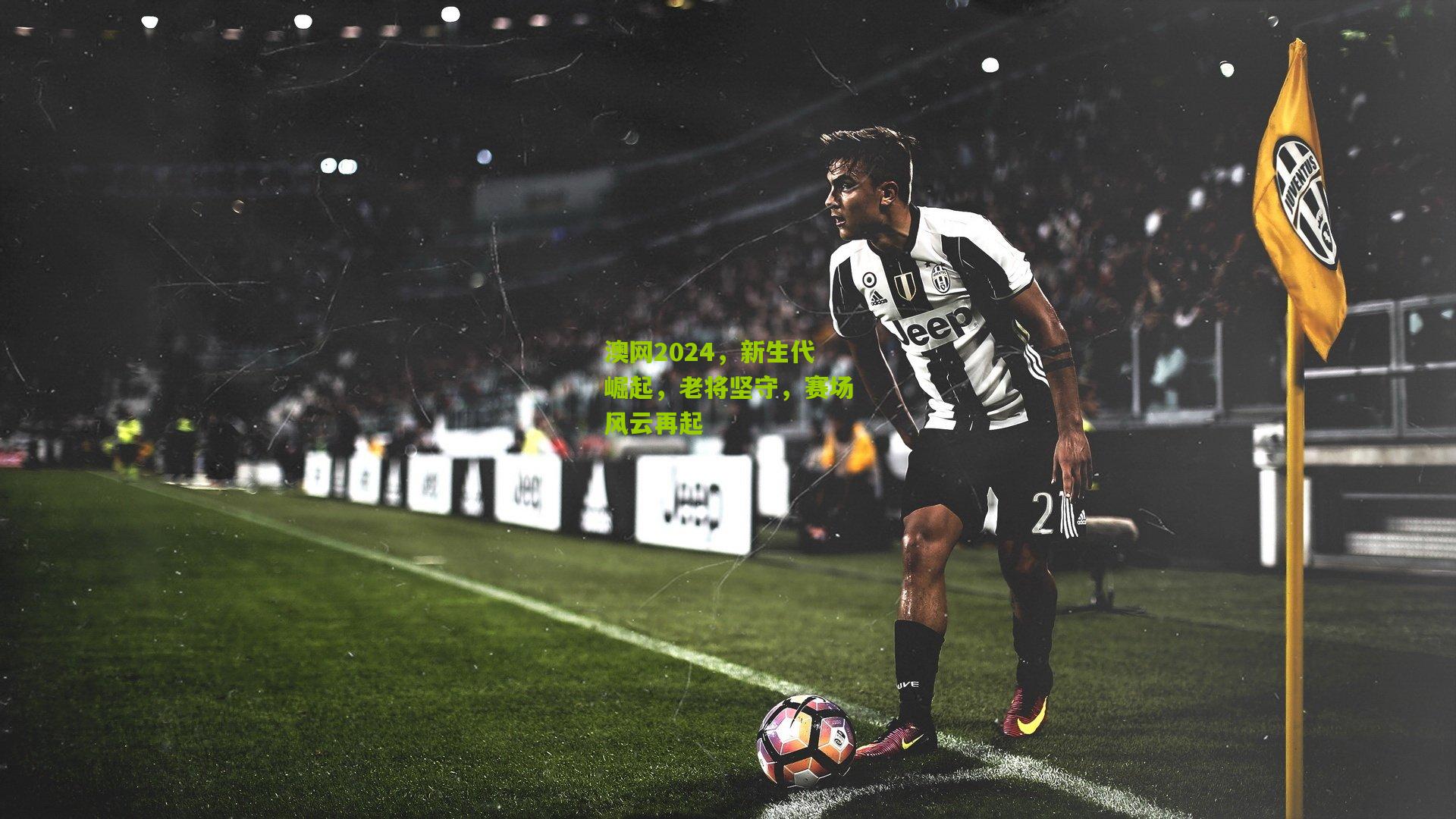 澳网2024，新生代崛起，老将坚守，赛场风云再起