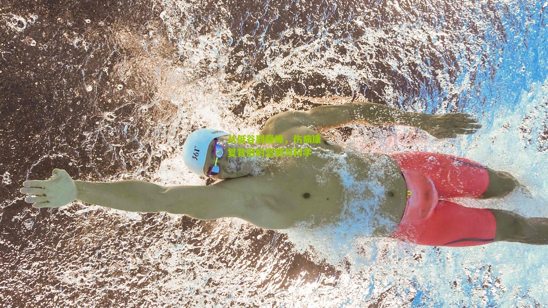 从低谷到巅峰,伤病康复背后的坚韧与科学