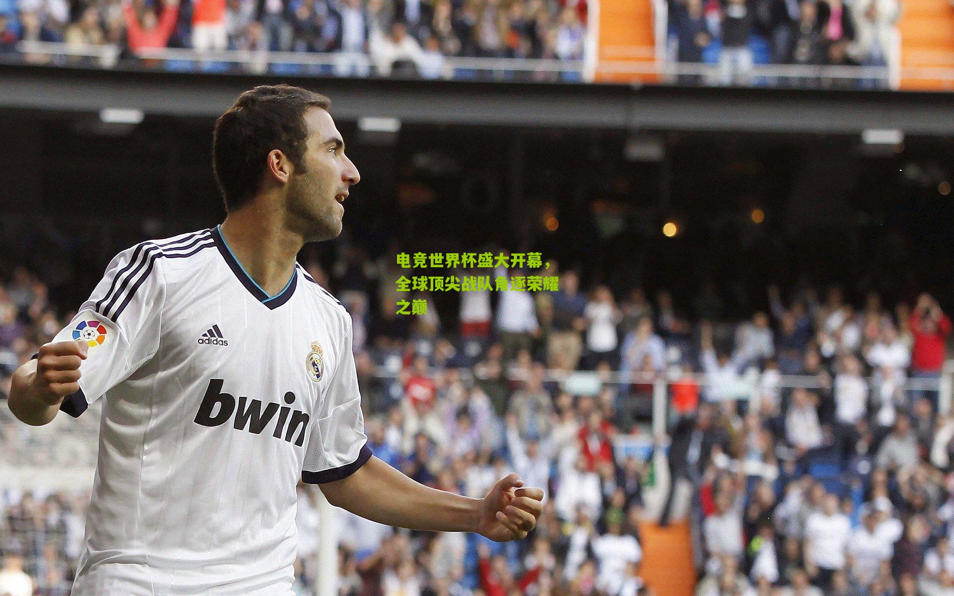 电竞世界杯盛大开幕,全球顶尖战队角逐荣耀之巅